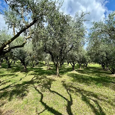 Apartamento La Vacanzella